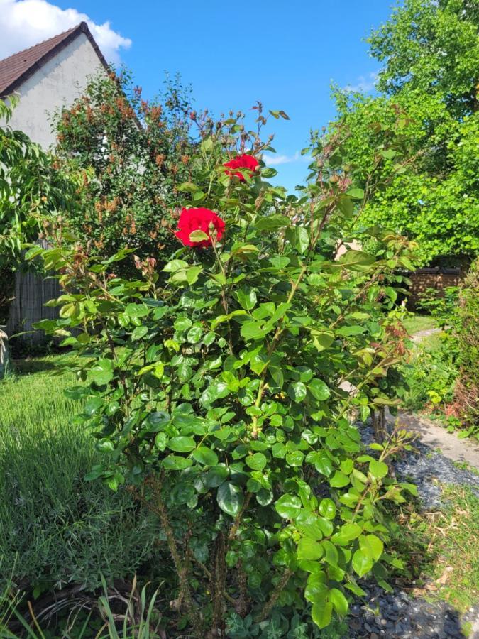 Cosy Room + Breakfast 20 Mn From Epernay Blancs-Coteaux Luaran gambar